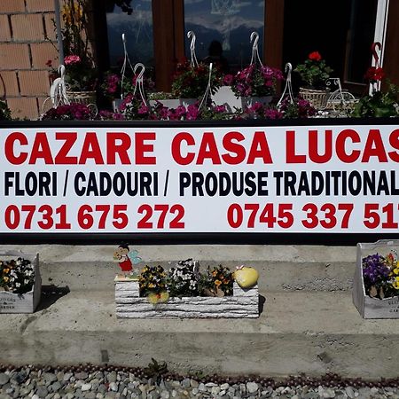 Casa Lucas Hotel Bradu  Exterior foto