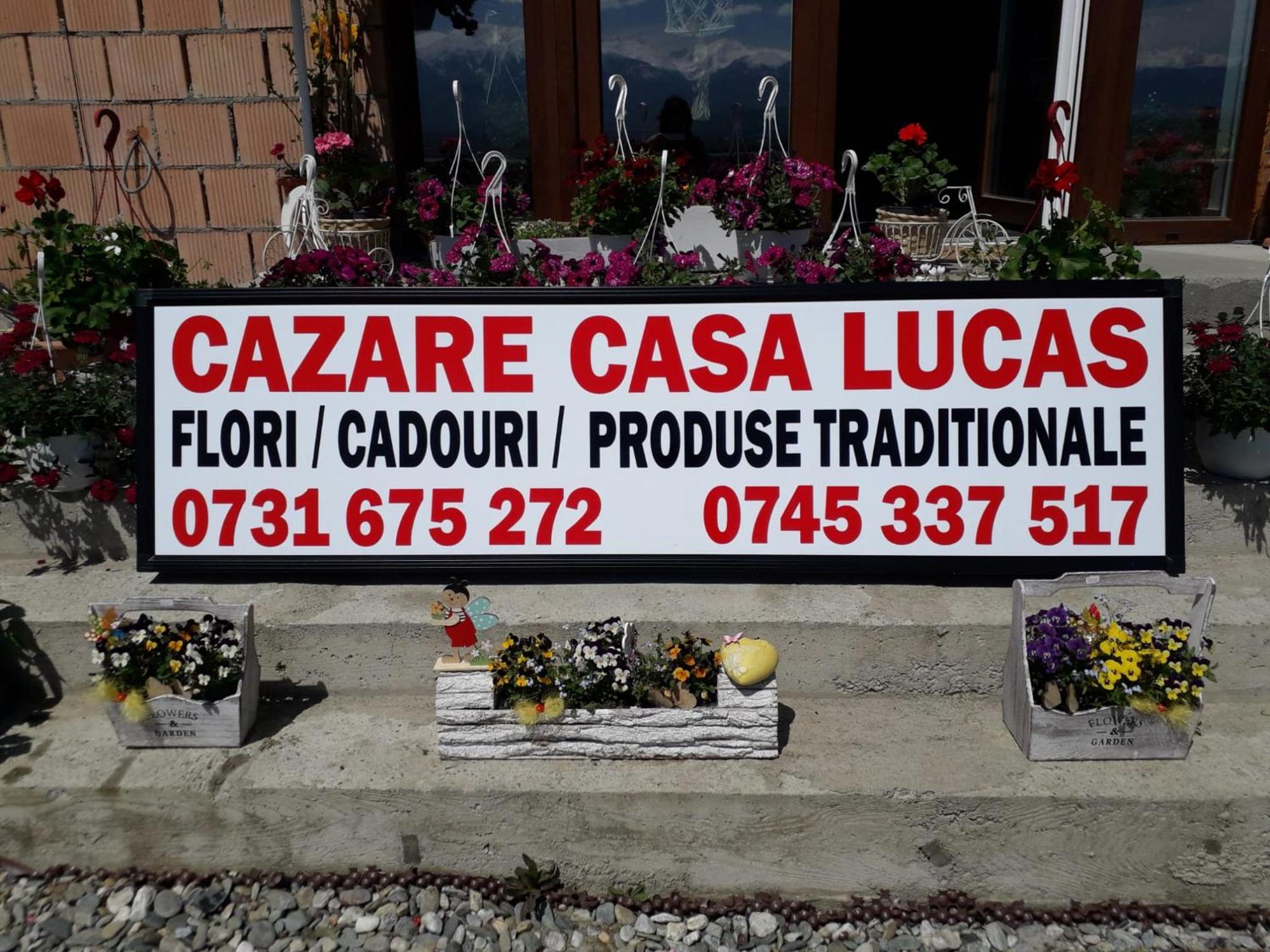 Casa Lucas Hotel Bradu  Exterior foto